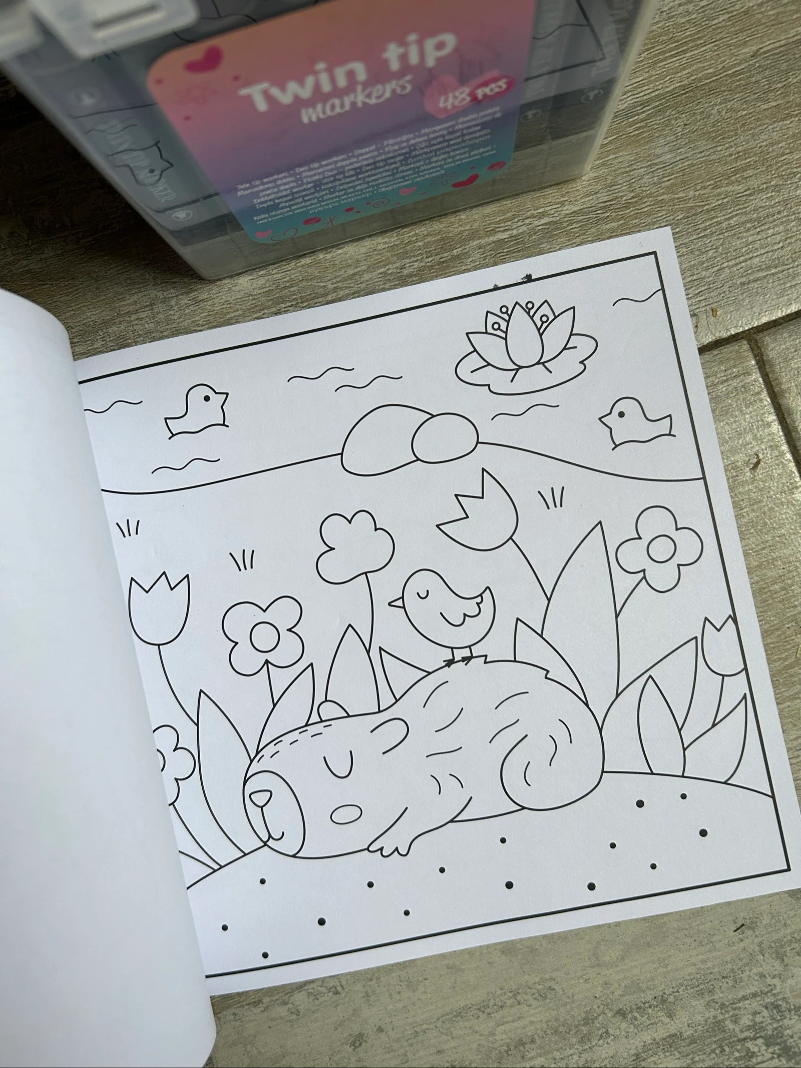 Caderno de colorir e marcadores de álcool – photo 3